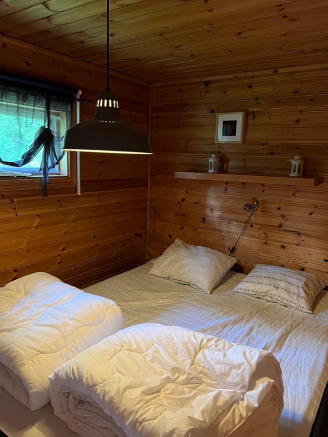 Mysig Fjaellstuga Med Direktanslutning Fjaellet Oviken
