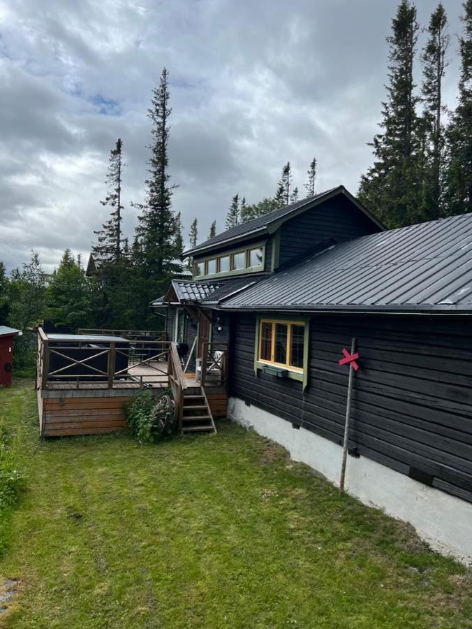 Mysig Fjaellstuga Med Direktanslutning Fjaellet Holiday home